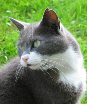 Murphy Photo