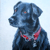 Jenson Acrylic