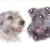 Hamish & Harry