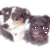 Poppy & Cassie