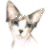 Sphynx
