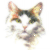 Turkish Van