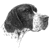 Black & White Pointer