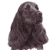Cocker Spaniel No 2