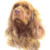 Sussex Spaniel