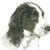 Working Cocker Spaniel 1