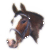 Chestnut