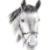 Dapple Grey