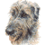 Irish Wolfhound  No 2