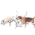 Fox Hounds