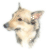 Swedish Valhund