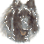 Belgian  Shepherd Groenendael