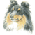 Shetland Sheepdog No 2