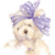 Floella
