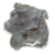 Staffordshire Bull Terrier 2