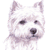 West Highland Terrier