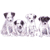 Jack Russell Puppies