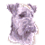 Welsh Terrier