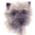 Cairn Terrier