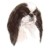 Japanese Chin
