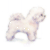 Bichon Frise
