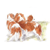 C.K.C.Spaniels