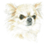 Long Haired Chihuahua No 3