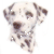 Liver Dalmatian