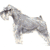 Miniature Schnauzer No 2