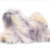 Lhasa Apso