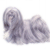 Lhasa Apso 3
