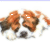 St Bernard