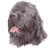 Newfoundland